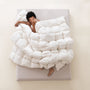 Ultra - Soft Goose Down Comforter - Three Geese